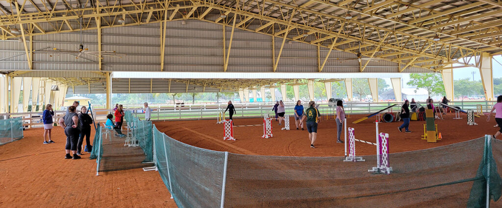 An AKC Agility Trial at Tropical Park in Miami, FL