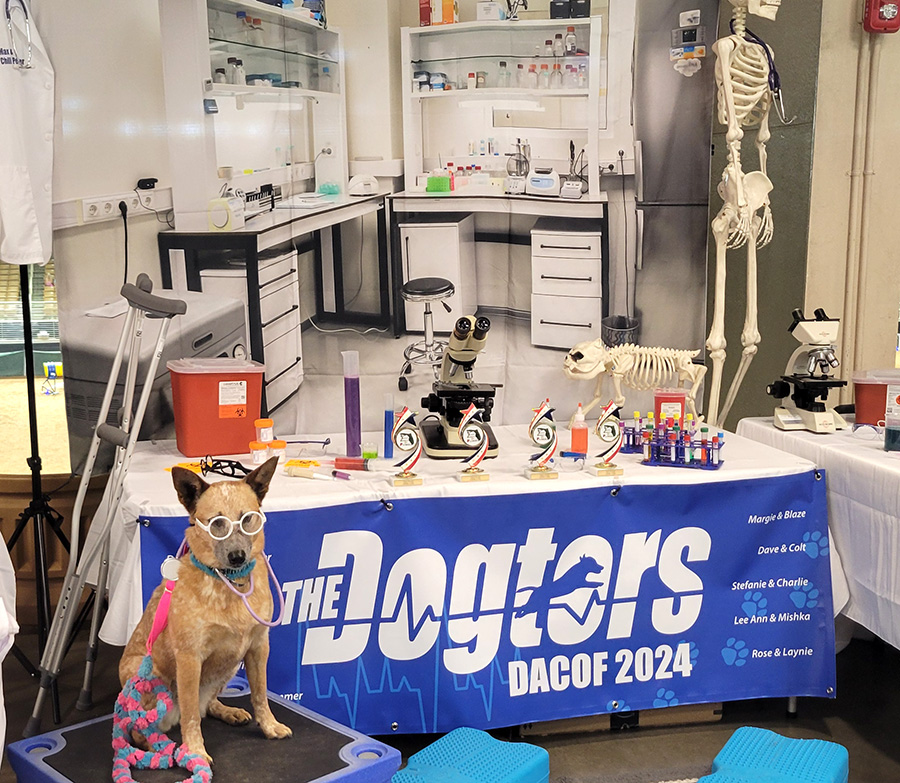 An Australian Cattle dog sitting in front of a back drop of lab and a sign saying the Dogsters